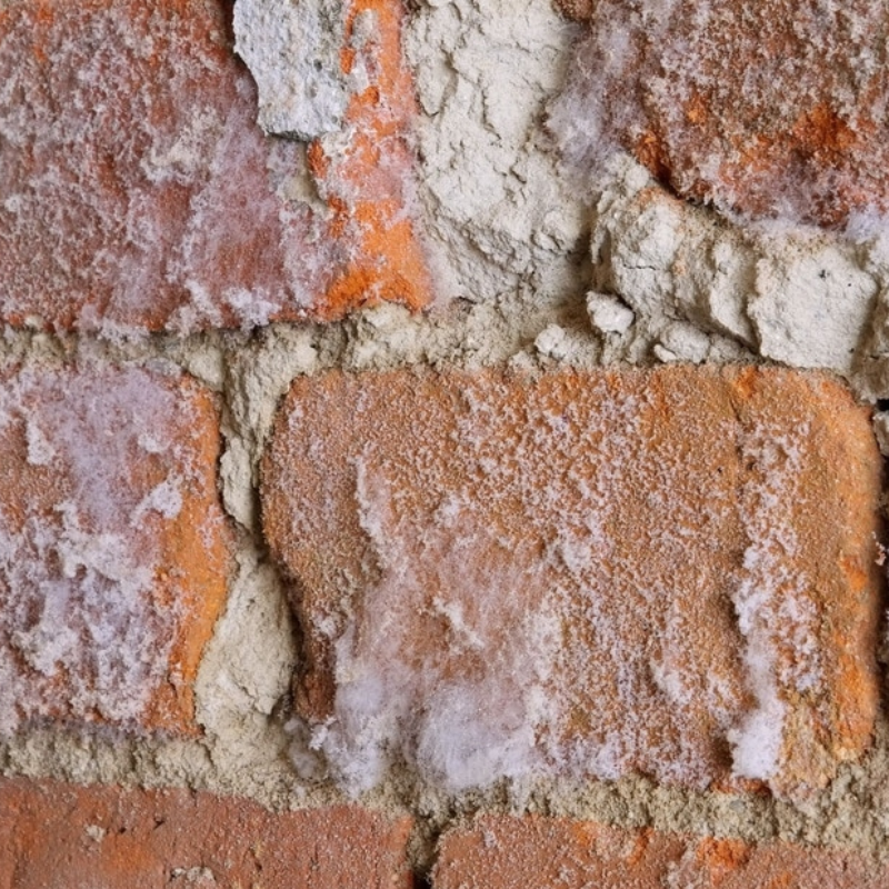 Présence de salpêtre