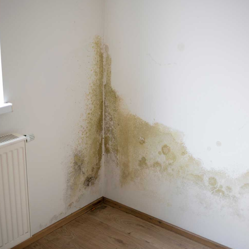 Remontées Capillaires